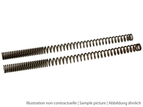 Wirth Gabelfedersatz, progressiv